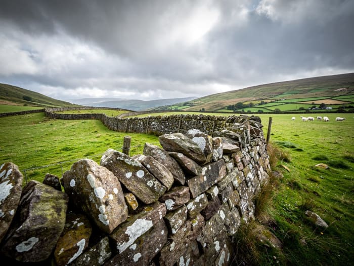 Dry stone dyke in the Angus countryside - Masowa & Son