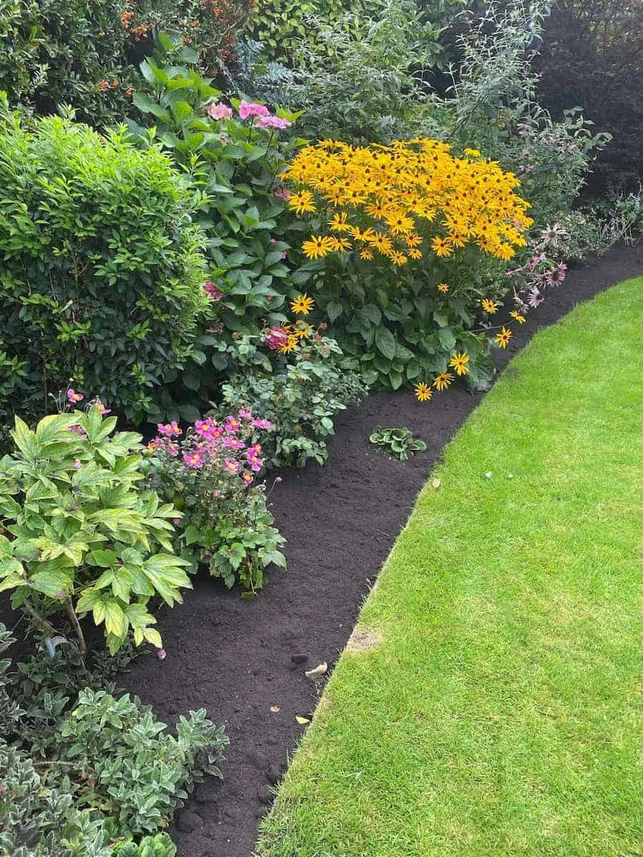 Lea Valley Garden Services team member performing lawn and hedge pruning