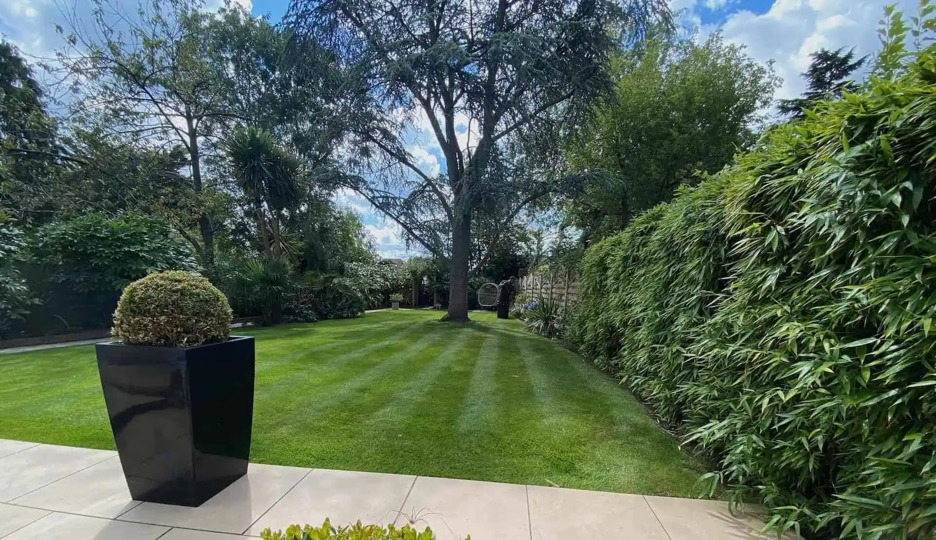 Professional lawn cutting and maintenance