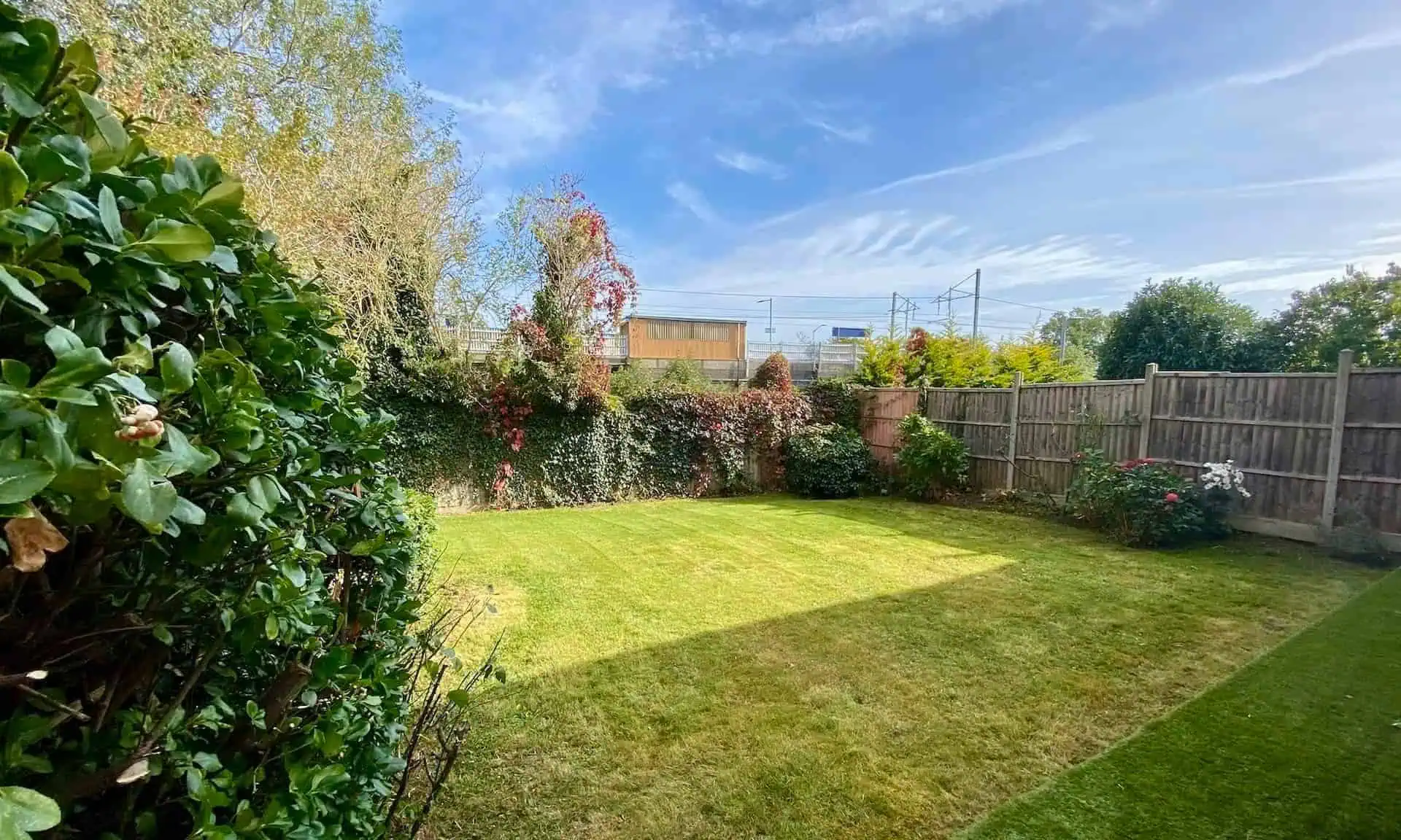 Professional garden clearance services