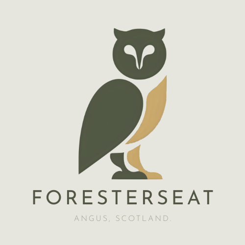 New Branding Reveal