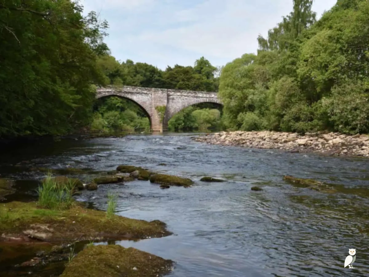 Off-Peak Escapes March