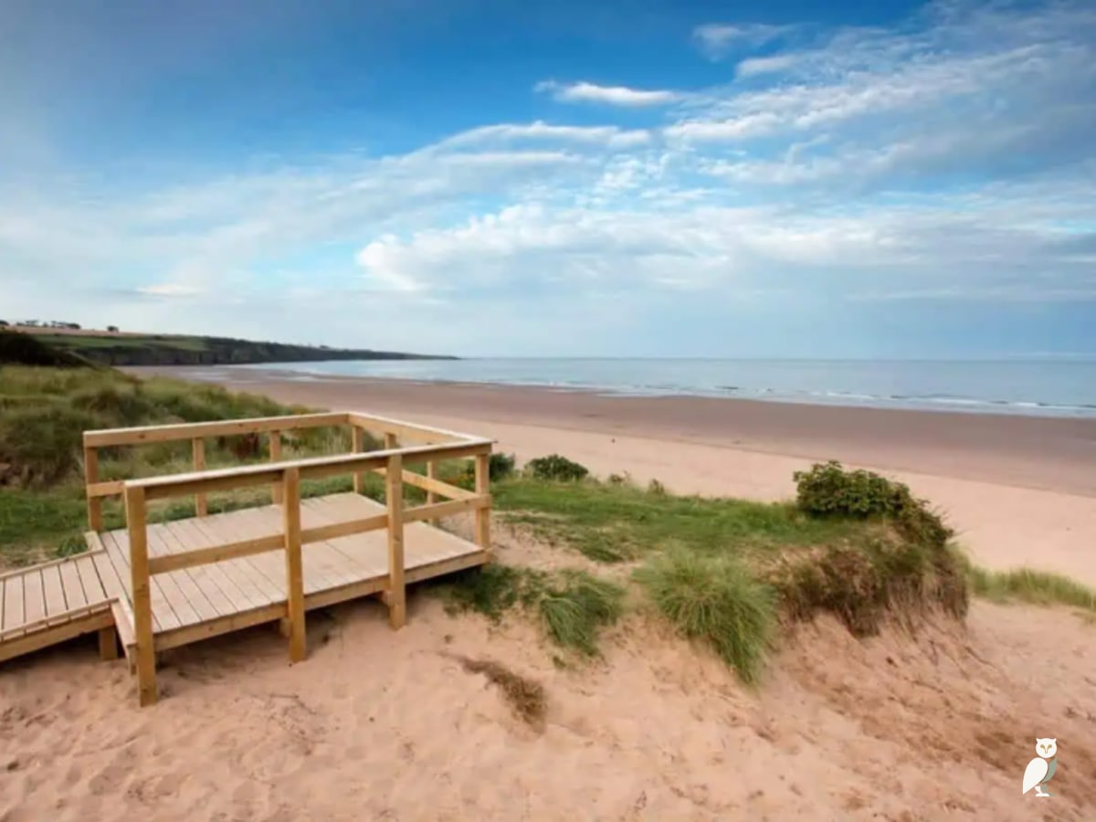 March Opening Countdown