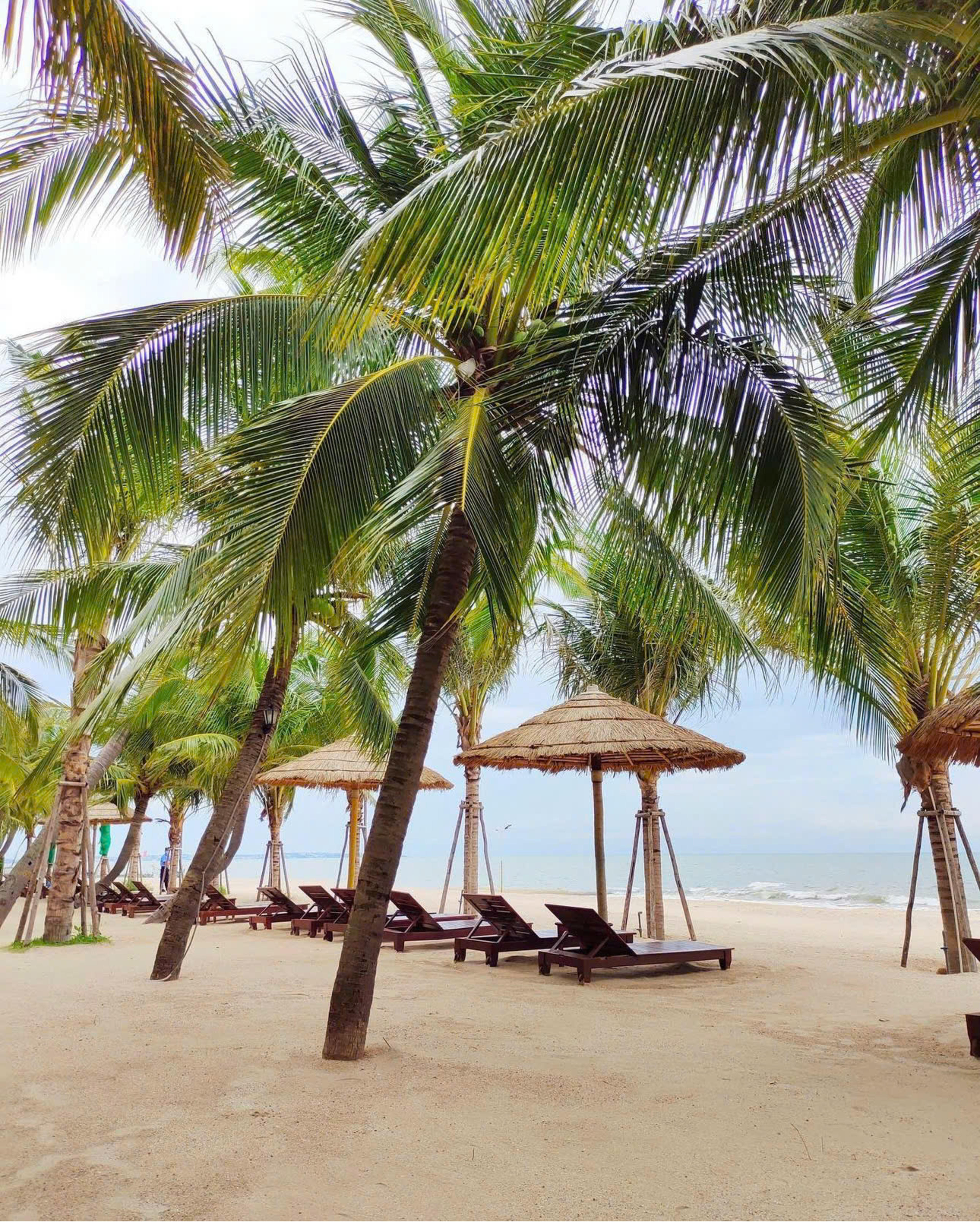 Hoàng Ngọc Mũi Né Resort 5