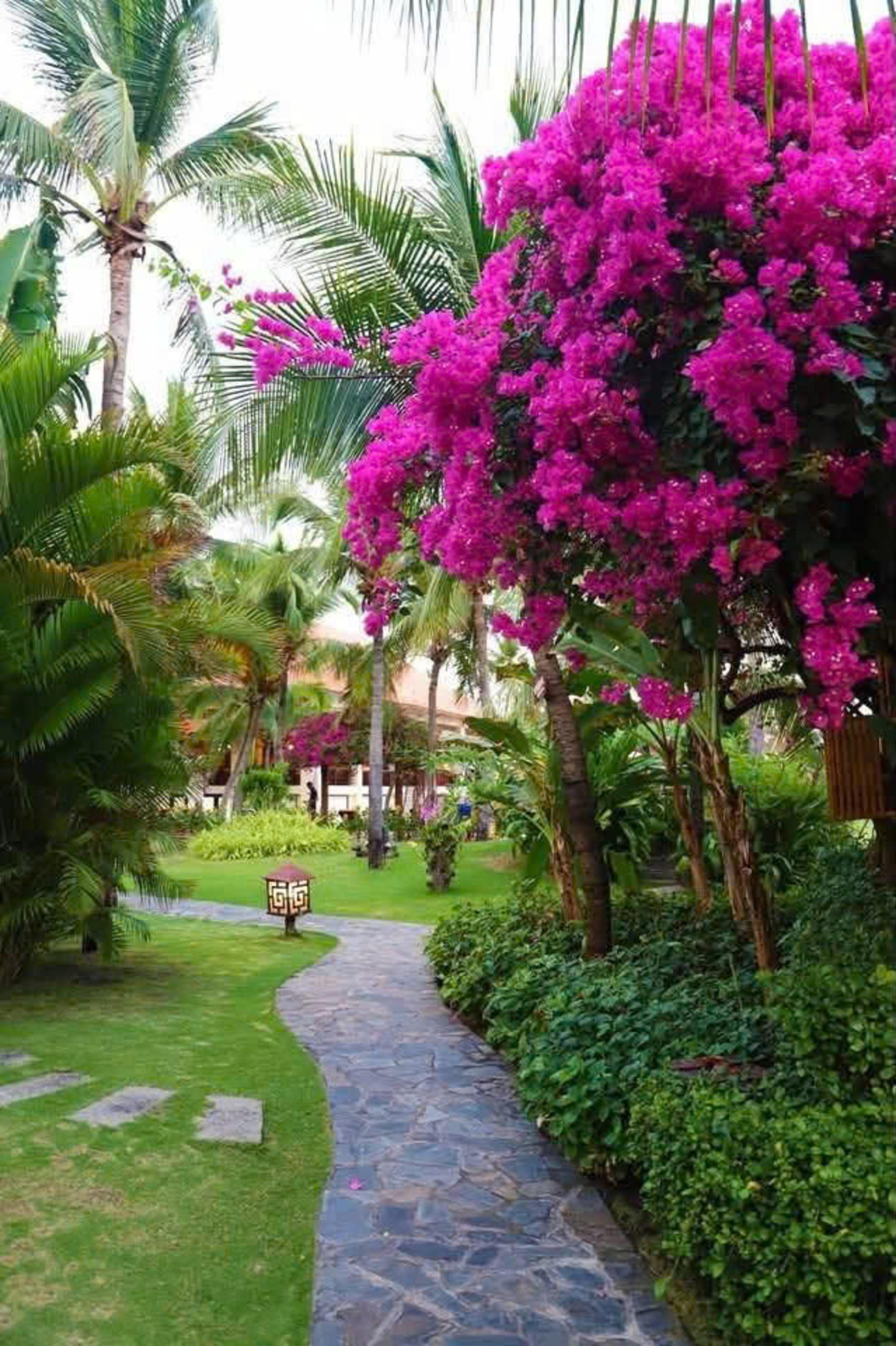 Sunny Beach Resort & Spa 6