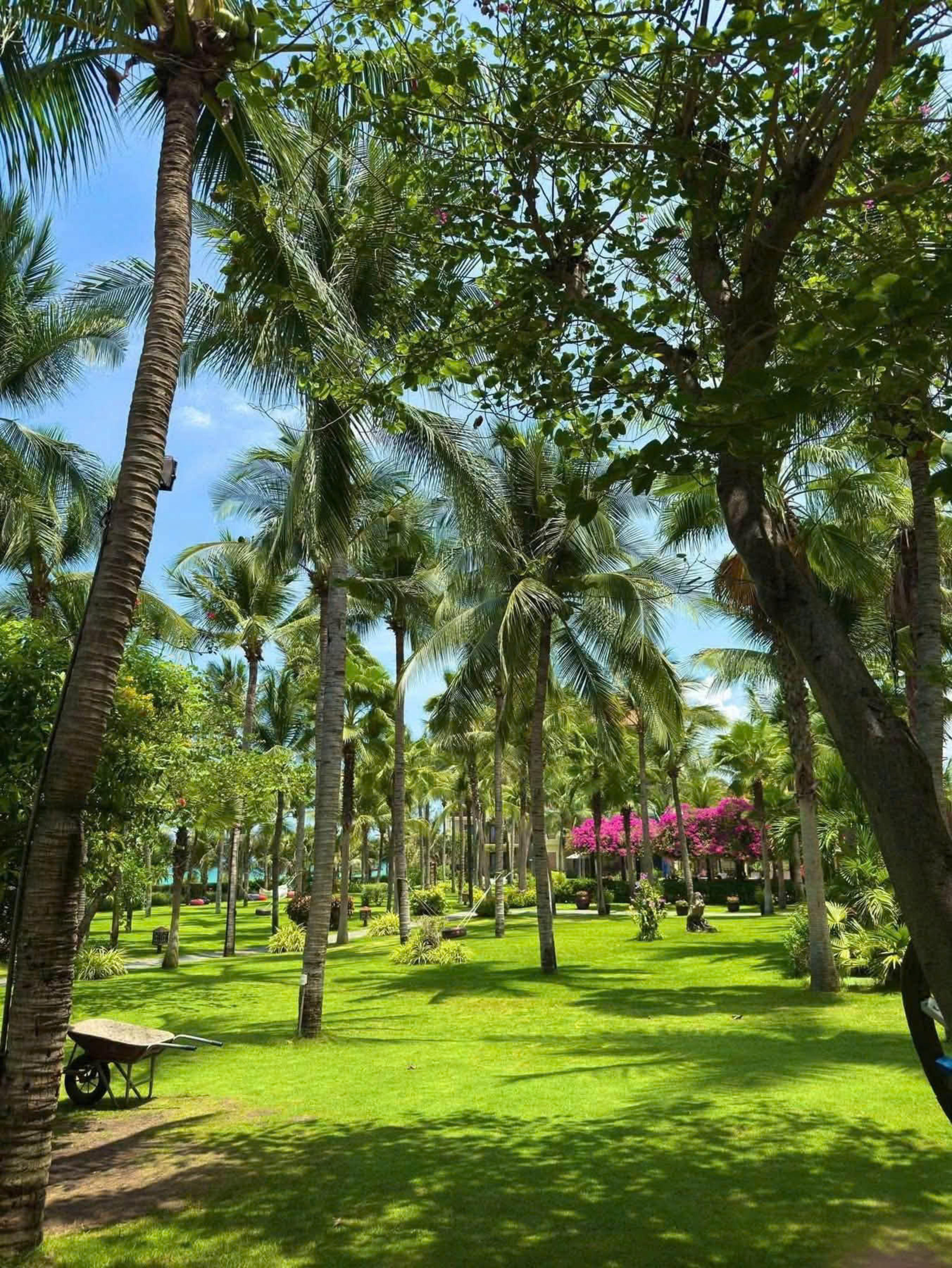 Sunny Beach Resort & Spa 11
