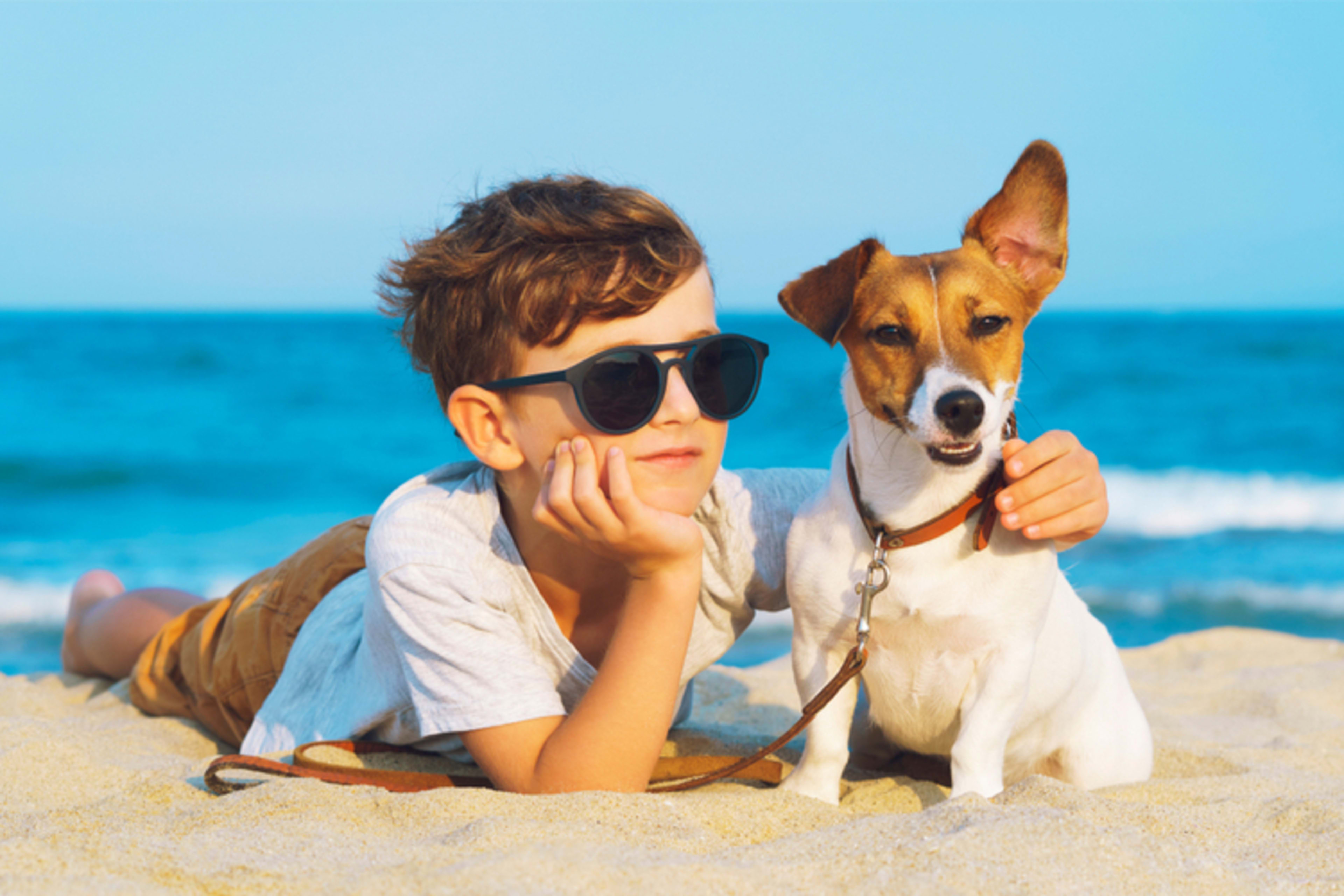 Xu hướng đi du lịch cùng pet