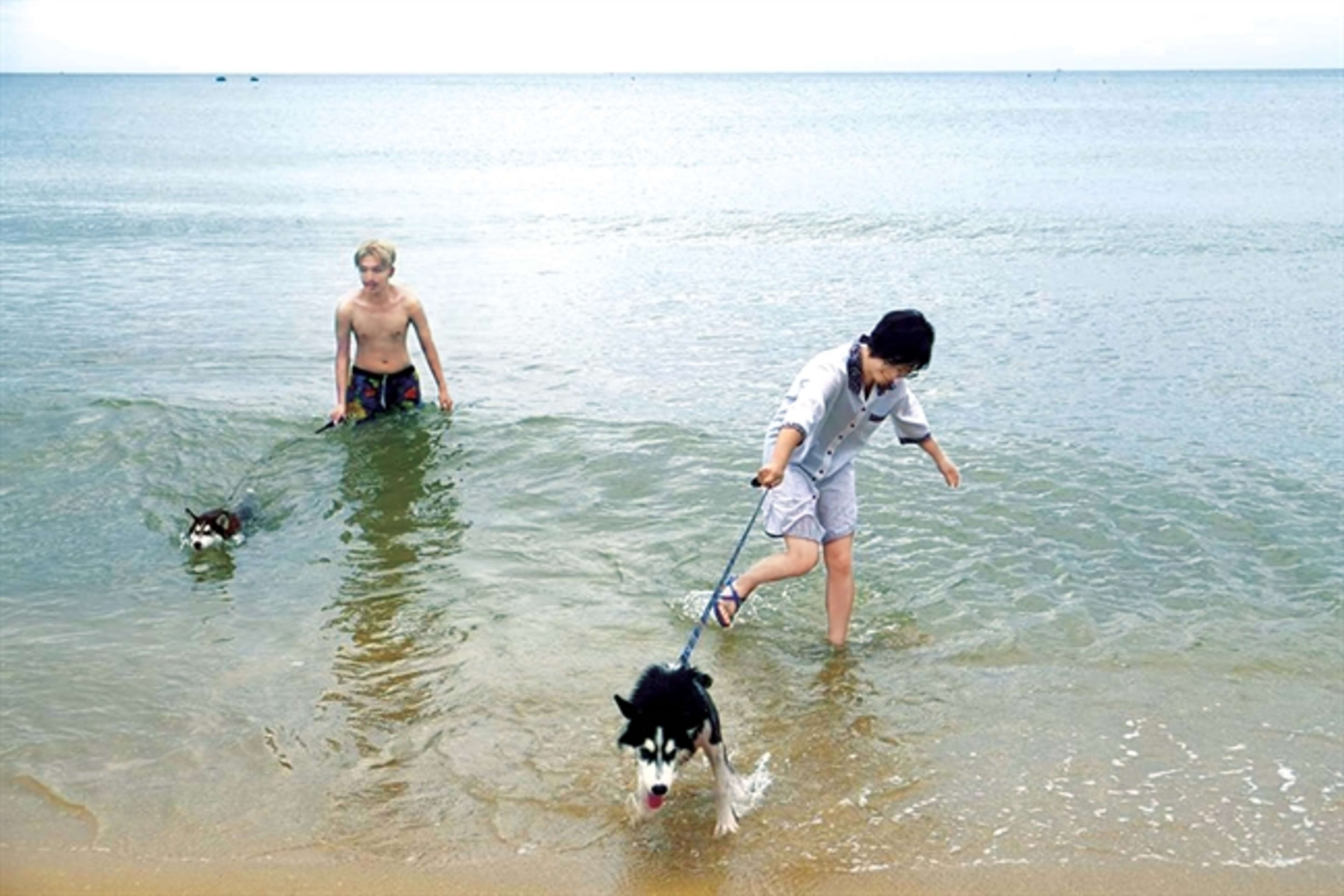 Top 3 Resort Mũi Né - Phan Thiết Cho Phép Mang Thú Cưng Tốt Nhất 2026