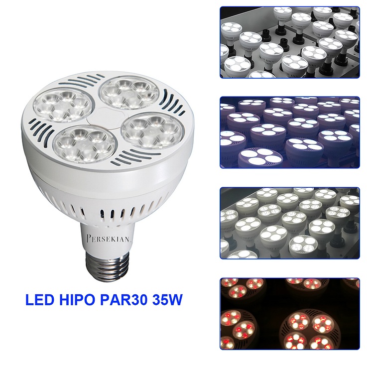 LED Spotlight Par 30 - 35W