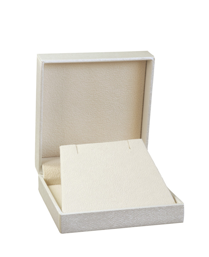 Earring Display Box (40pieces)