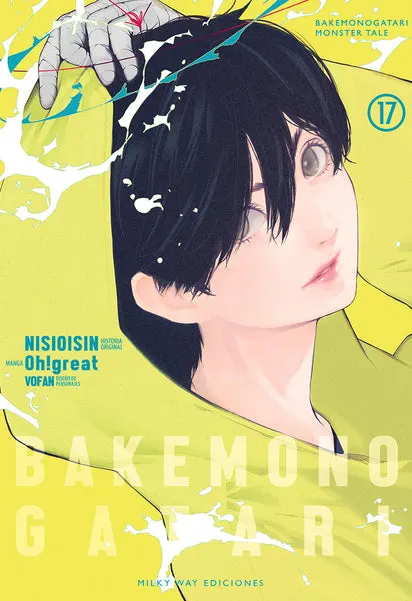 Tomo 17