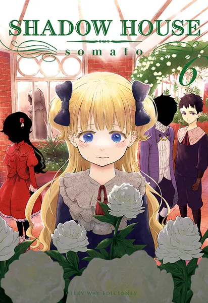 Tomo 6