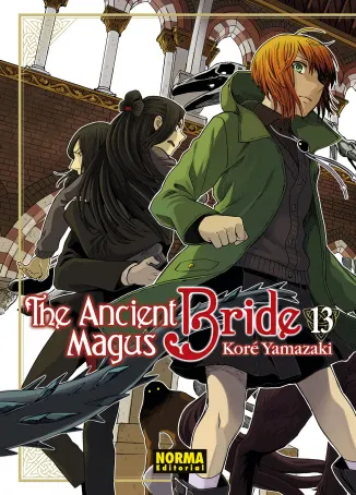Tomo 13