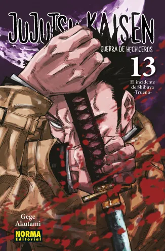 Tomo 13