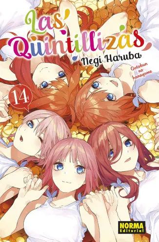 Tomo 14