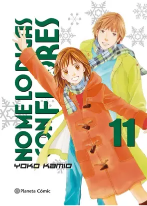 Tomo 11