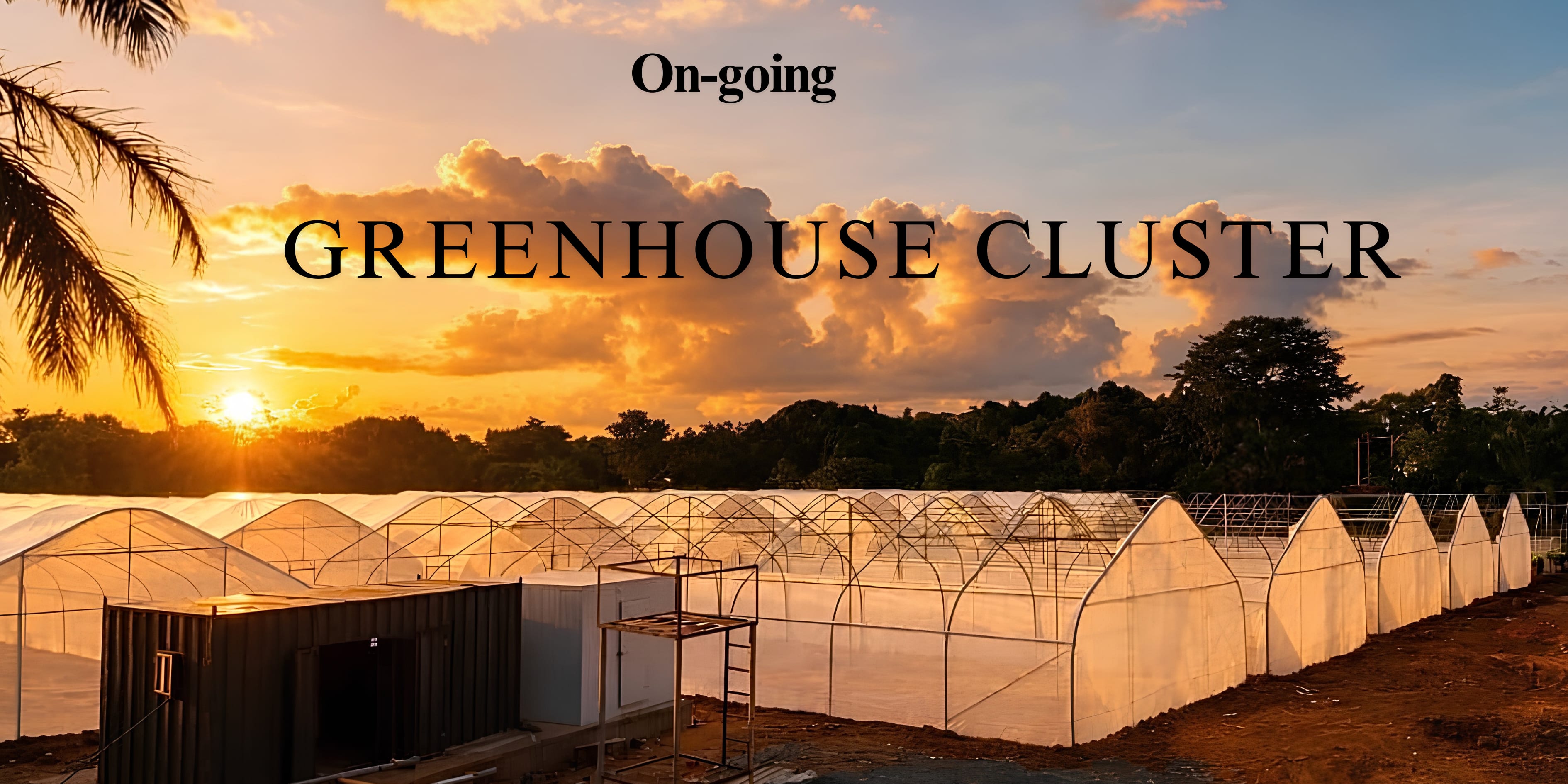 Ongoing development of the 150 greenhouses at Owo and the pilot phase 15 greenhouses at Ugwuomu Nike