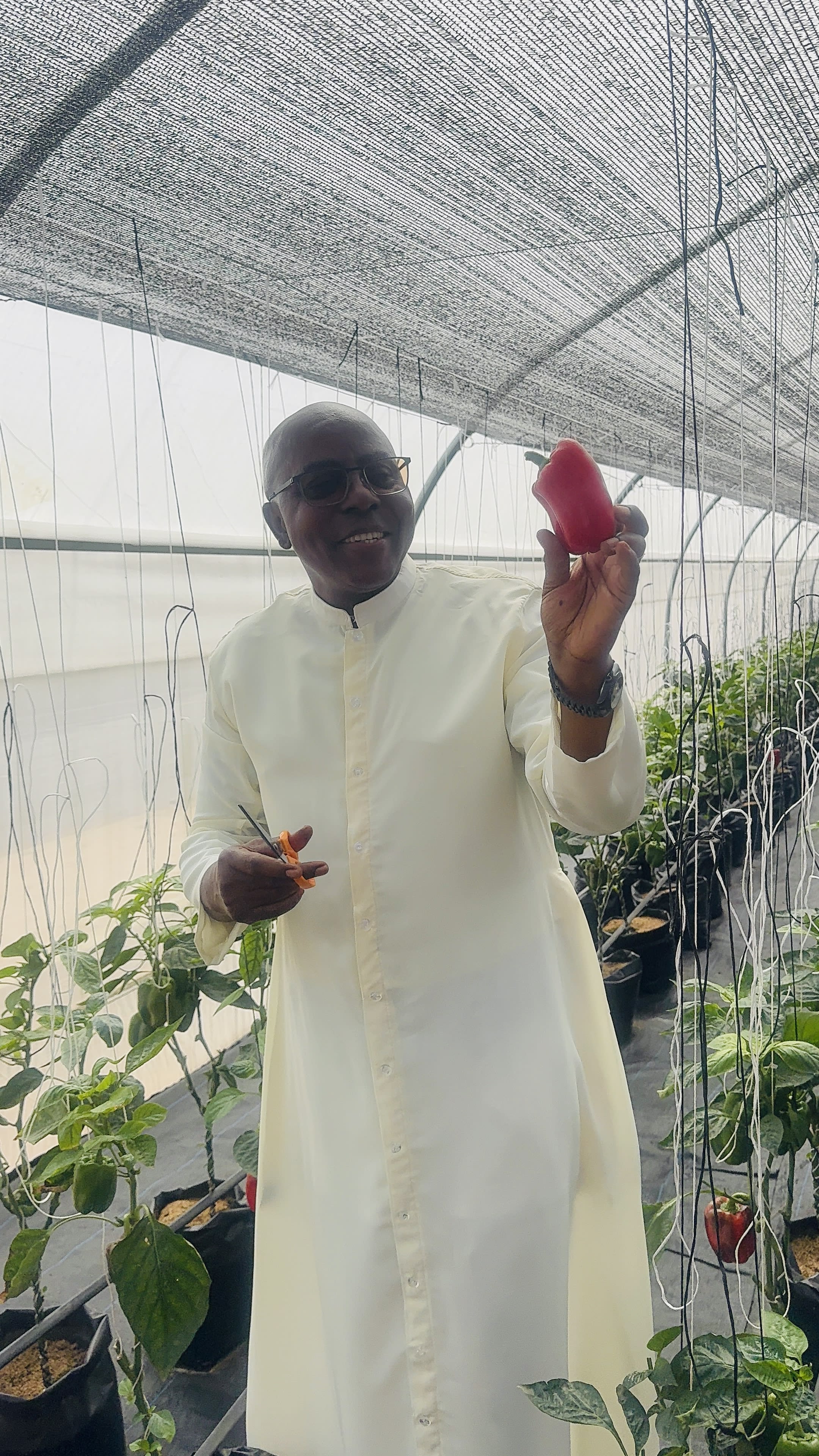 Inside the solar-irrigated greenhouse unit
