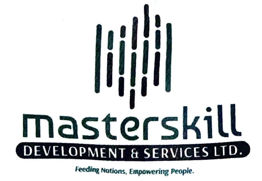 MasterSkills Logo