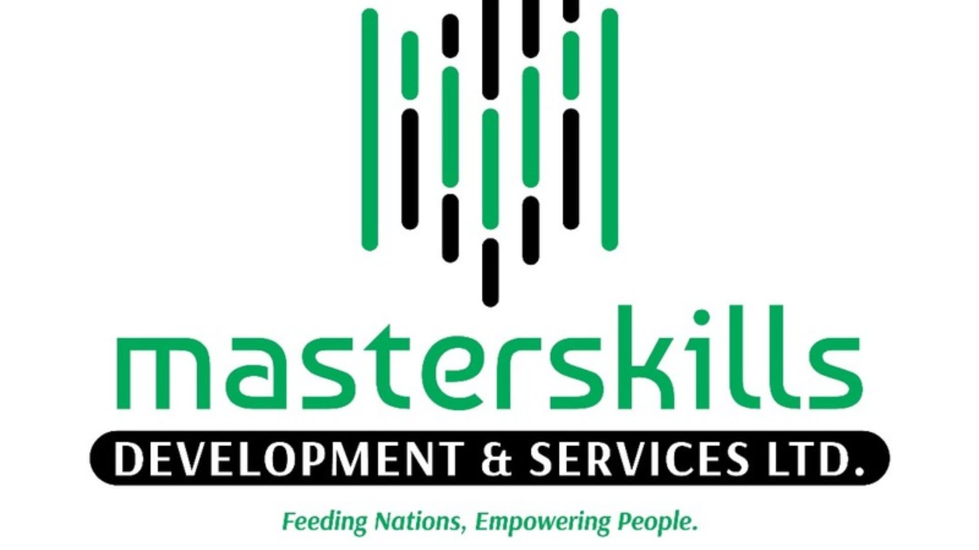 MasterSkills Logo