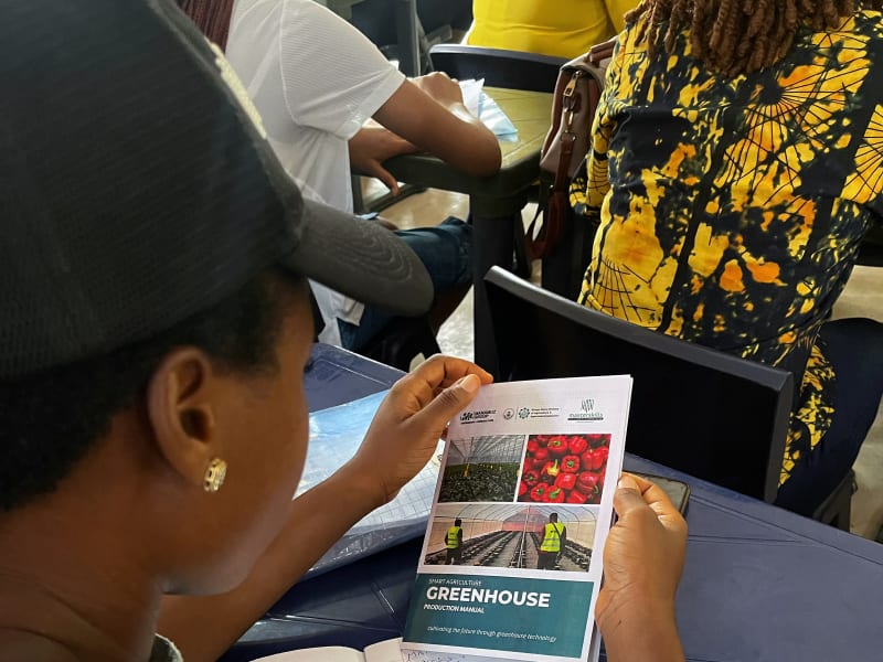 Trainees learning about hydroponic growing systems