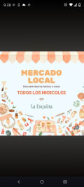 Mercado orgánico La Esquina