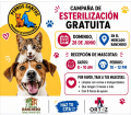 Campaña de Esterilización Gratuita – Perros Santos