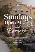 Sundays Open Mic and Karaoke