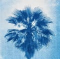 Cyanotype Workshop at Earth Art Studio