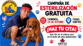 Campaña de Esterilización Gratuita – Perros Santos