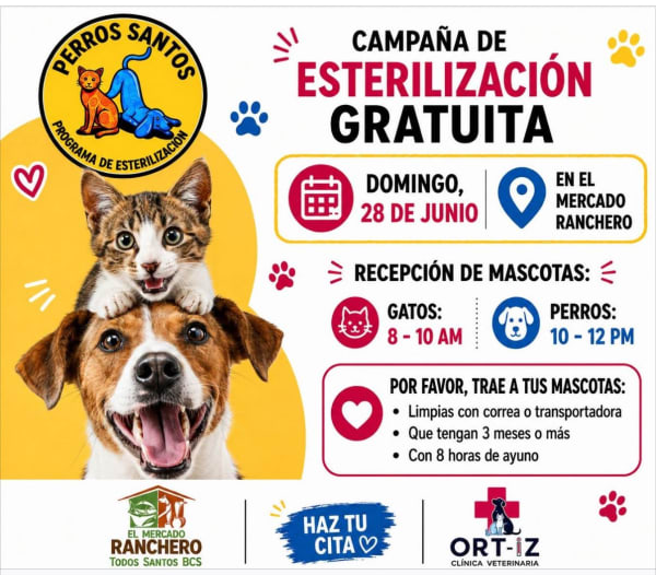 Campaña de Esterilización Gratuita – Perros Santos