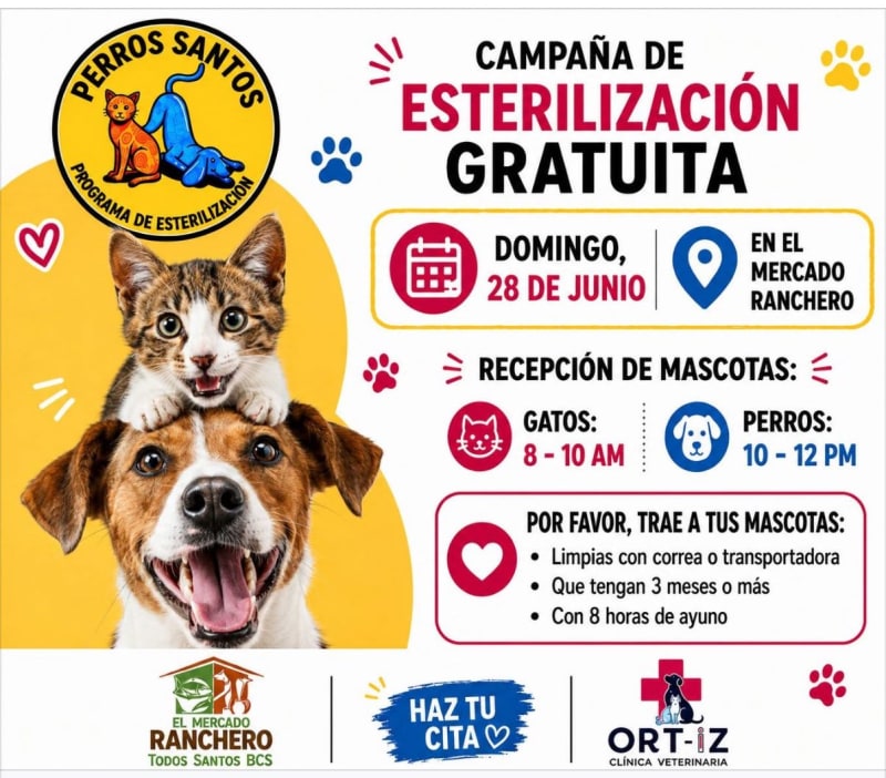Campaña de Esterilización Gratuita – Perros Santos