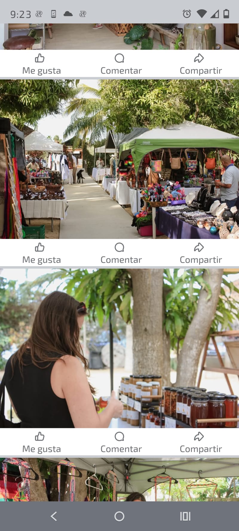 Mercado orgánico dominical