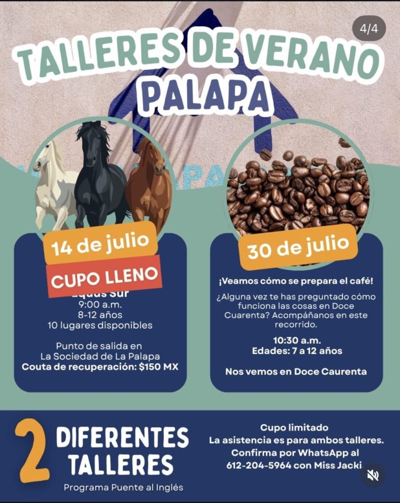 Talleres de Verano Palapa – ¡Veamos cómo se prepara el café! (Coffee Workshop)