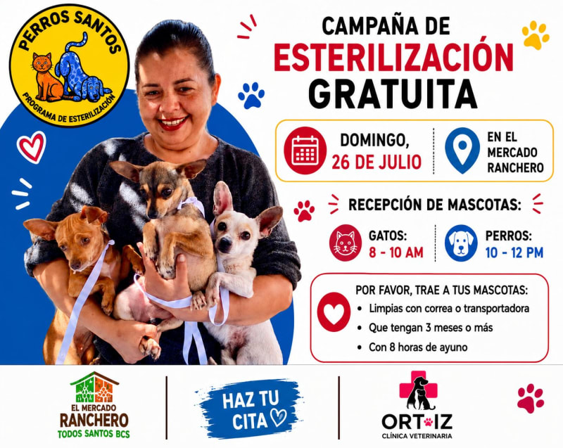 Campaña de Esterilización Gratuita – Perros Santos