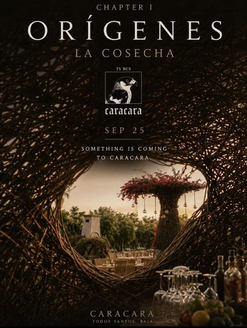 Chapter I: Orígenes — La Cosecha
