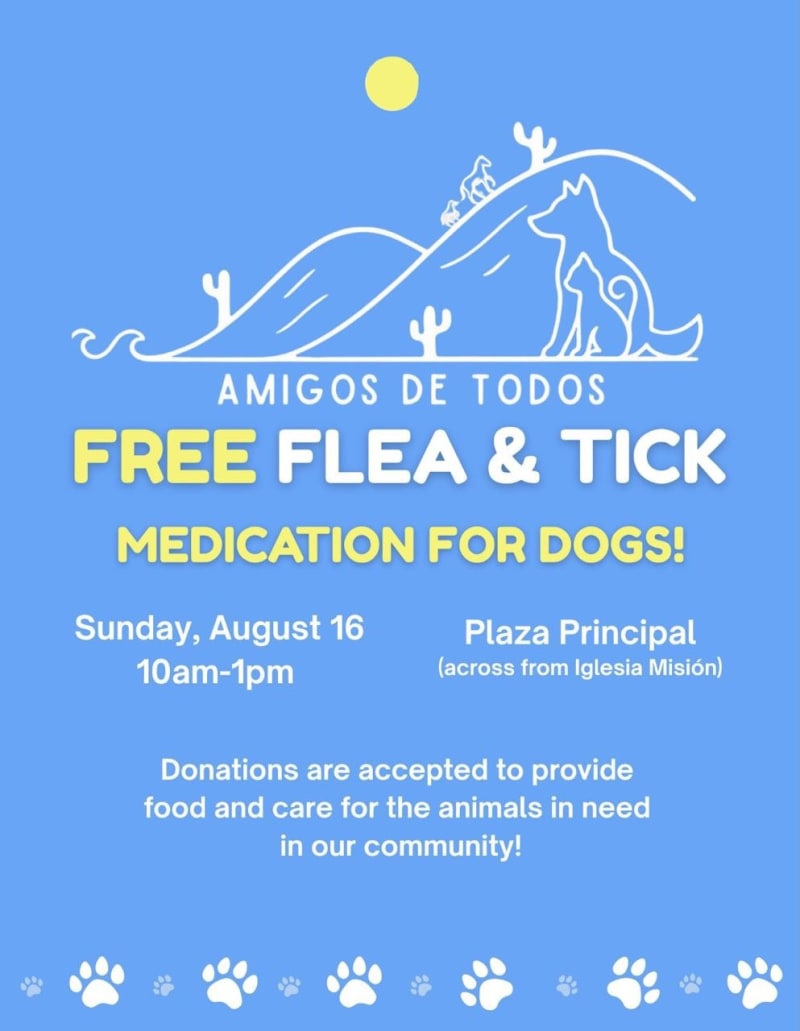 Free Flea & Tick Medication for Dogs