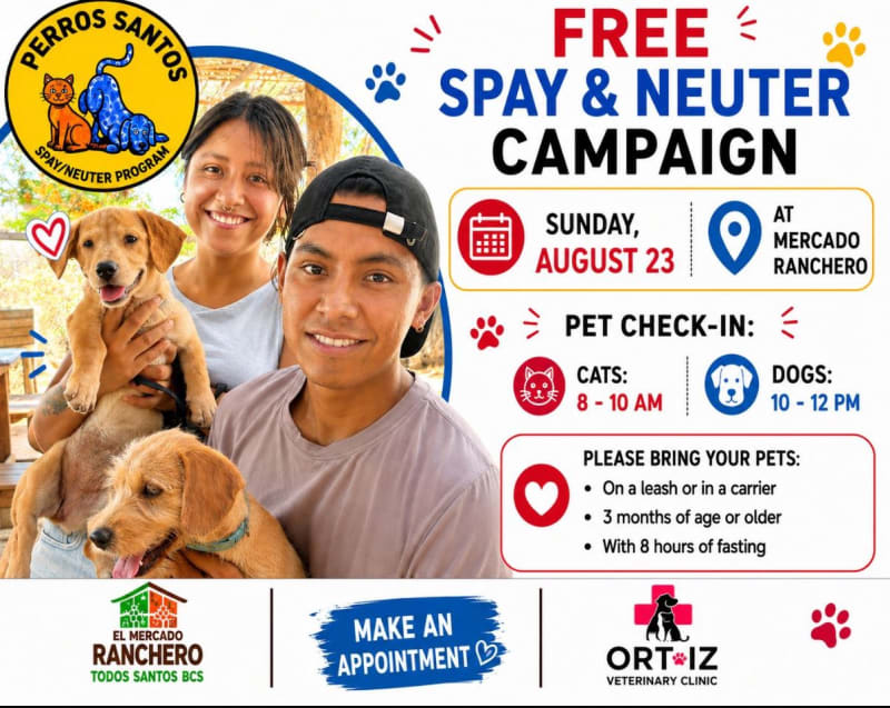 Free Spay & Neuter Campaign