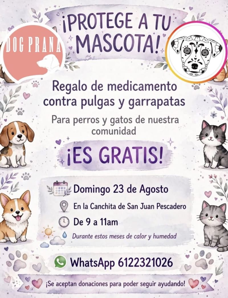 ¡Protege a Tu Mascota! – Free Flea & Tick Medicine Giveaway
