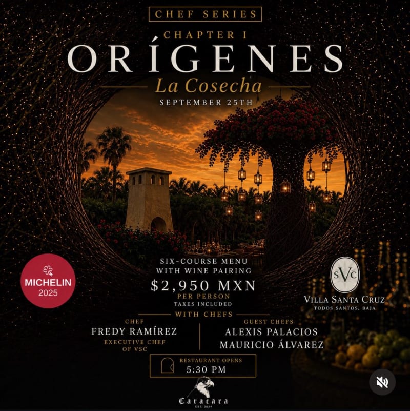 Chef Series – Chapter I: Orígenes La Cosecha