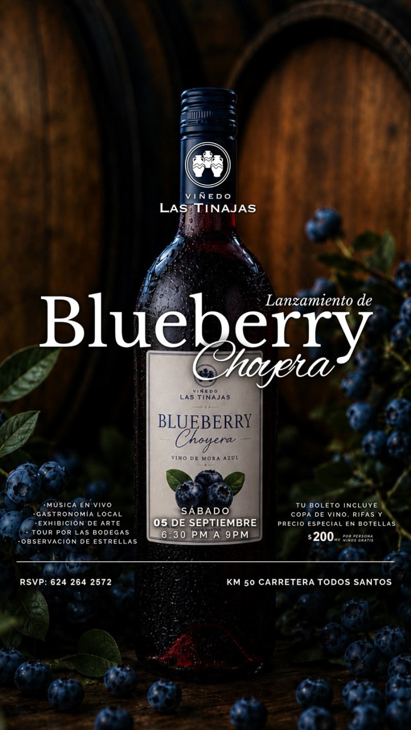 LANZAMIENTO VINO BLUEBERRY CHOYERO VIÑEDO LAS TINAJAS