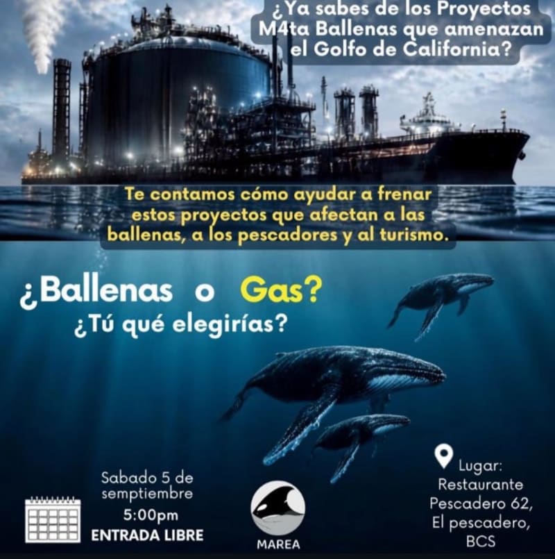 ¿Ballenas o Gas? Community Talk