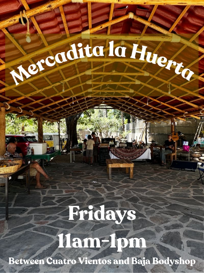 Mercadita la Huerta