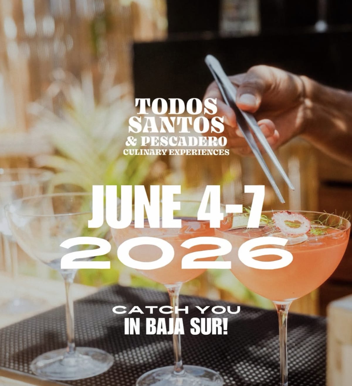 TSP Culinary Experience- Day 2