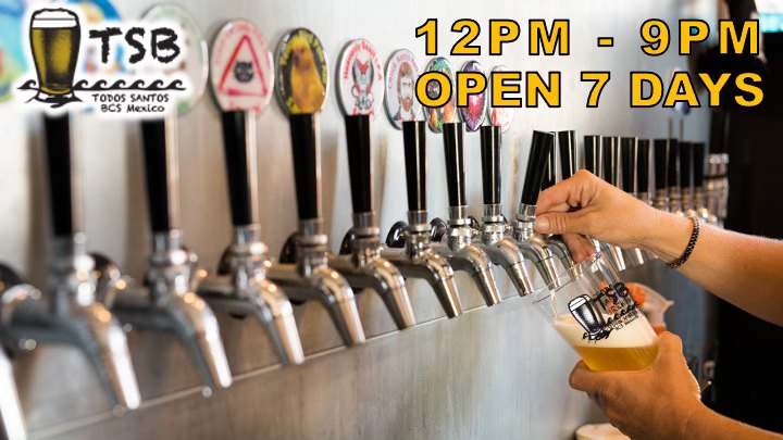 Karaoke Night at Todos Santos Brewing
