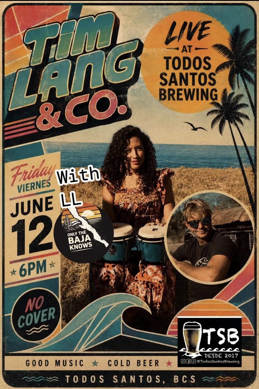 Tim Lang & Co. Live
