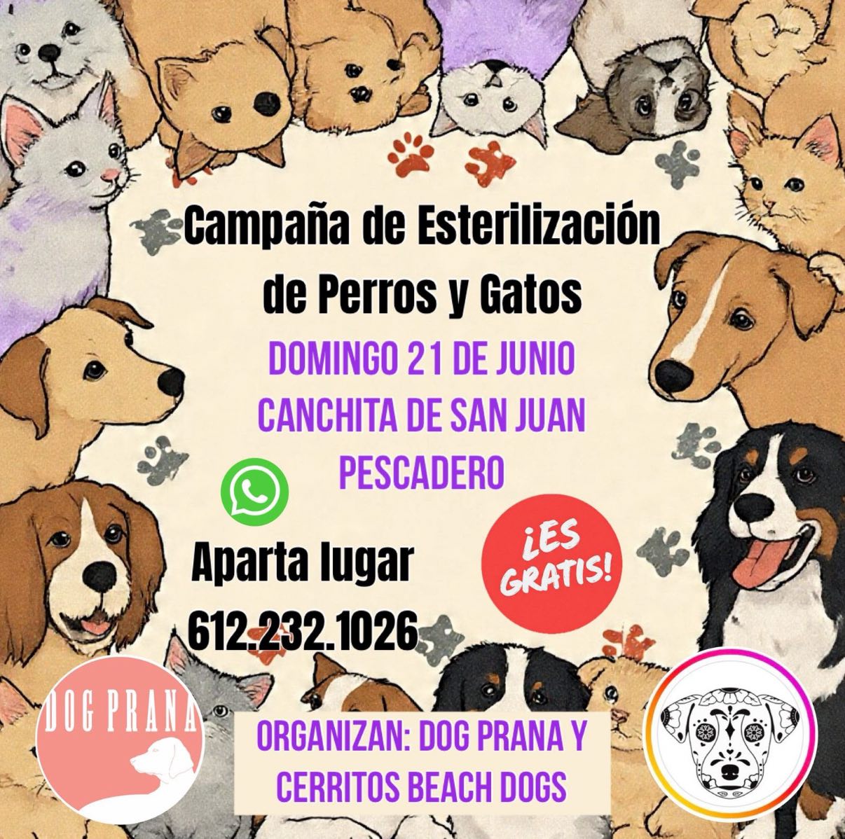 Campaña de Esterilización de Perros y Gatos