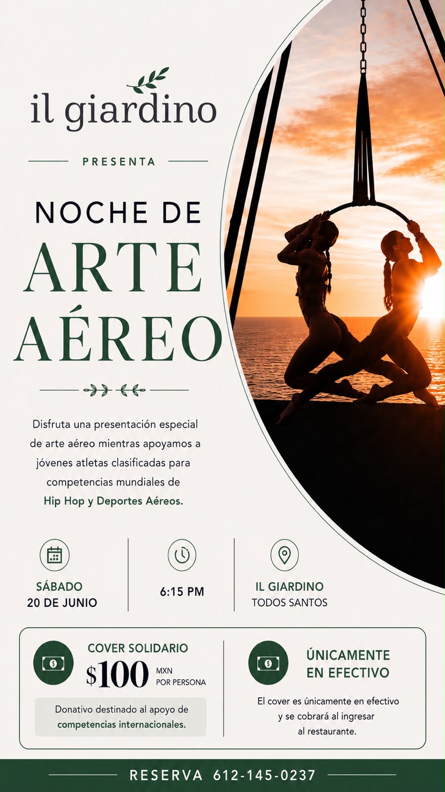 Noche de Arte Aéreo