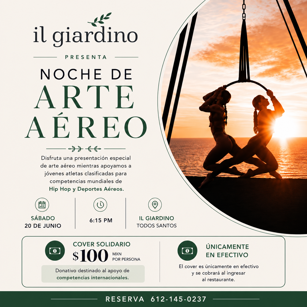 Noche de Arte Aéreo