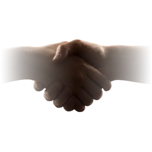 article main image